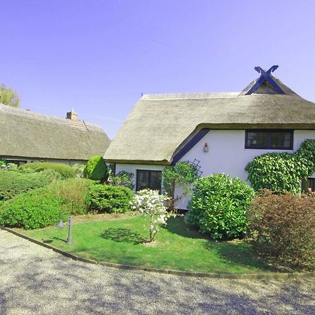 Landhaus Darss Wieck Εξωτερικό φωτογραφία