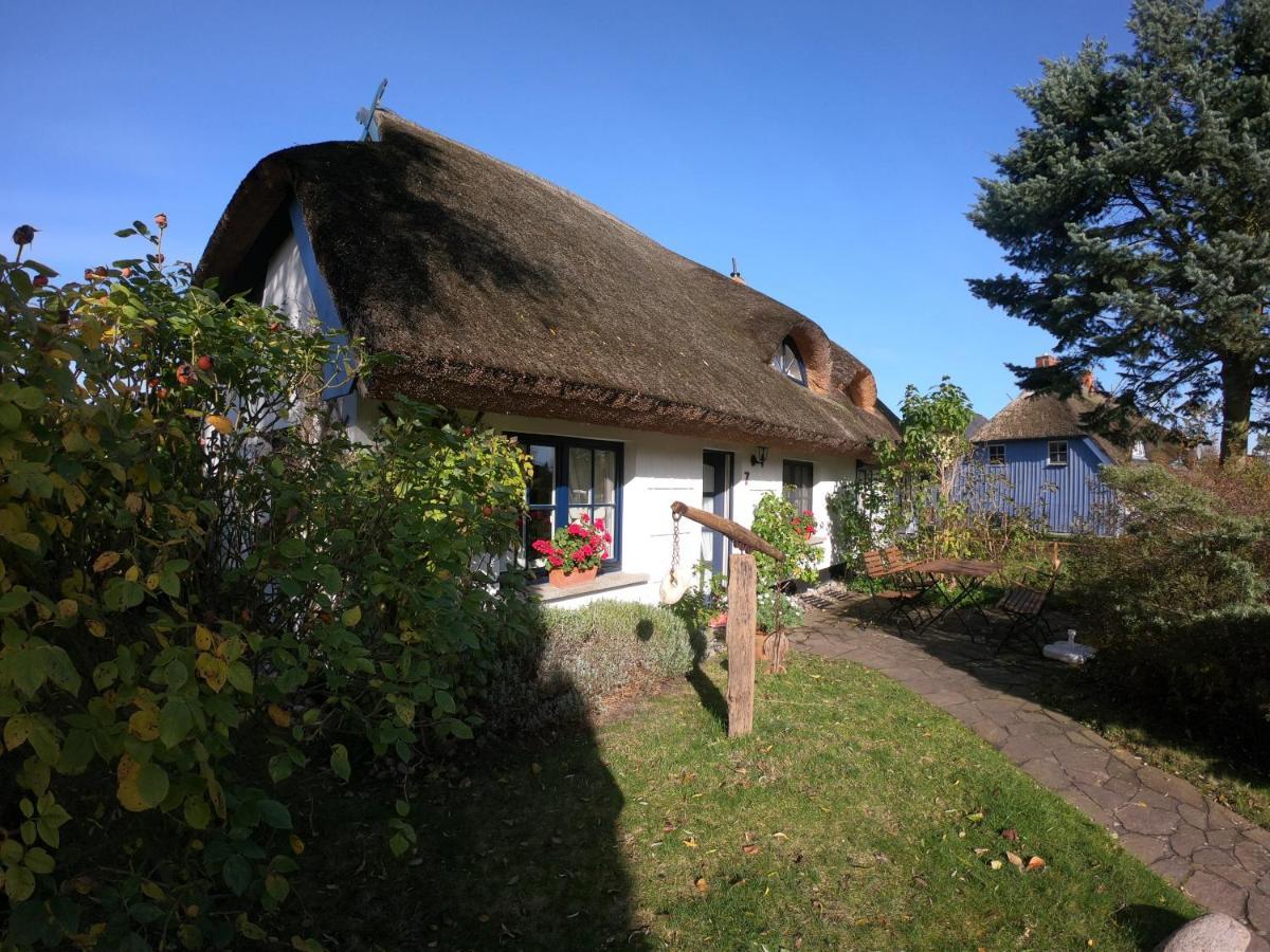 Landhaus Darss Wieck Εξωτερικό φωτογραφία