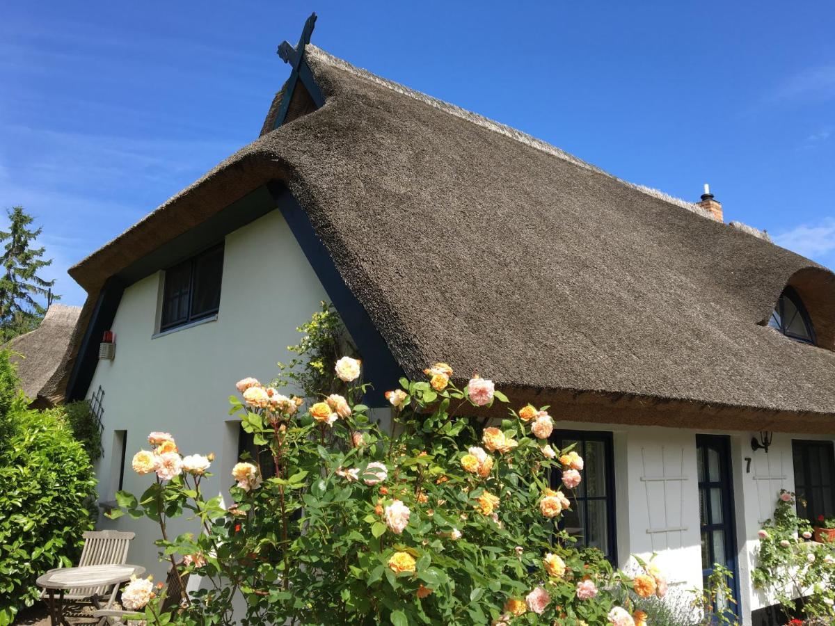 Landhaus Darss Wieck Εξωτερικό φωτογραφία