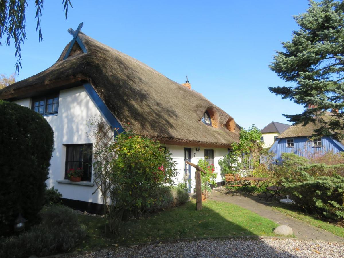 Landhaus Darss Wieck Εξωτερικό φωτογραφία