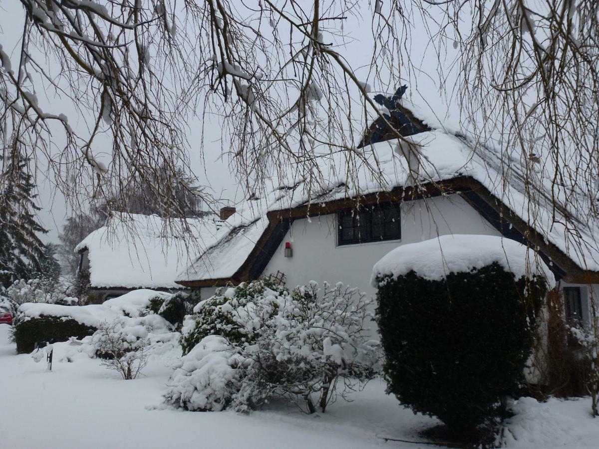 Landhaus Darss Wieck Εξωτερικό φωτογραφία